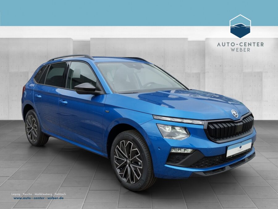 Skoda Kamiq 1.0 TSI Tour DSG *Matrix*2xKlima*ACC*AUT*LM