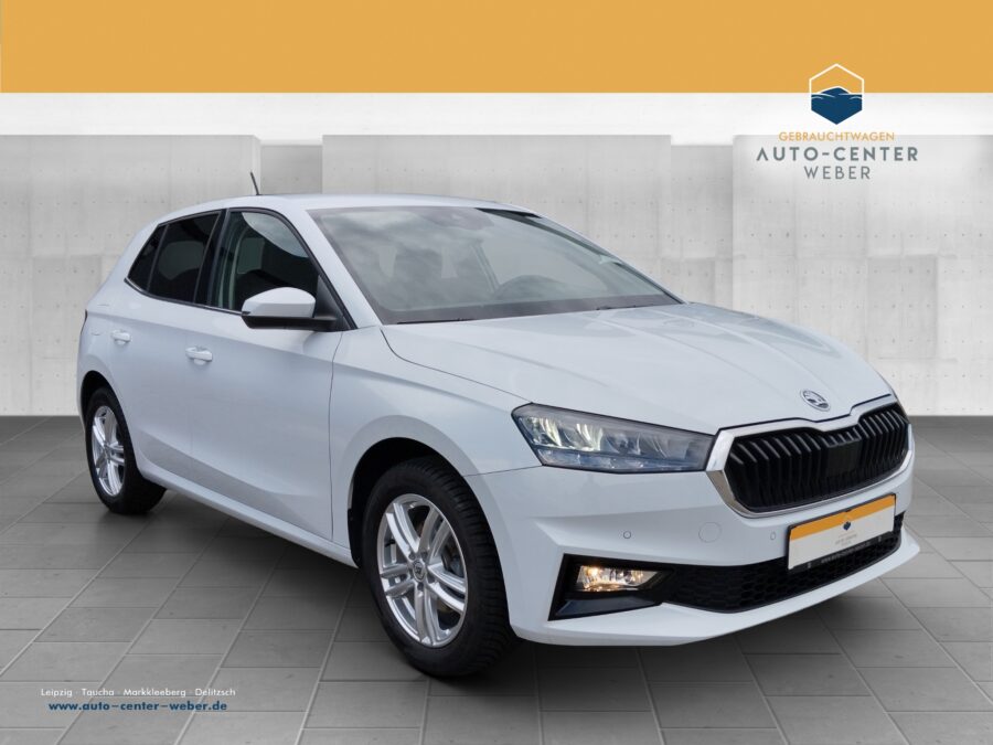 Skoda Fabia 1.0 TSI Style incl. Servicepaket*