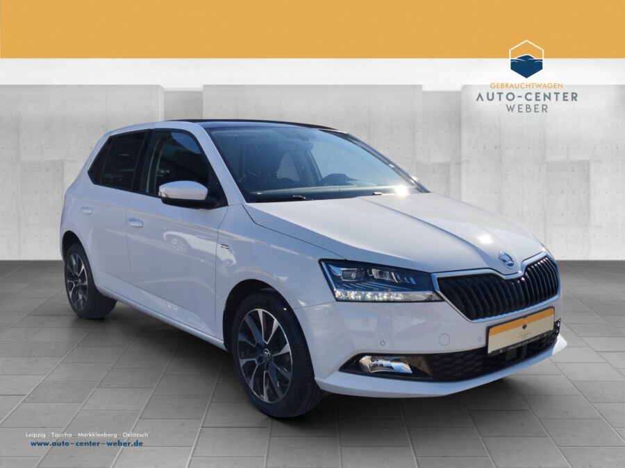 Skoda Fabia 1.0 TSI Best of Drive incl. Servicepaket*