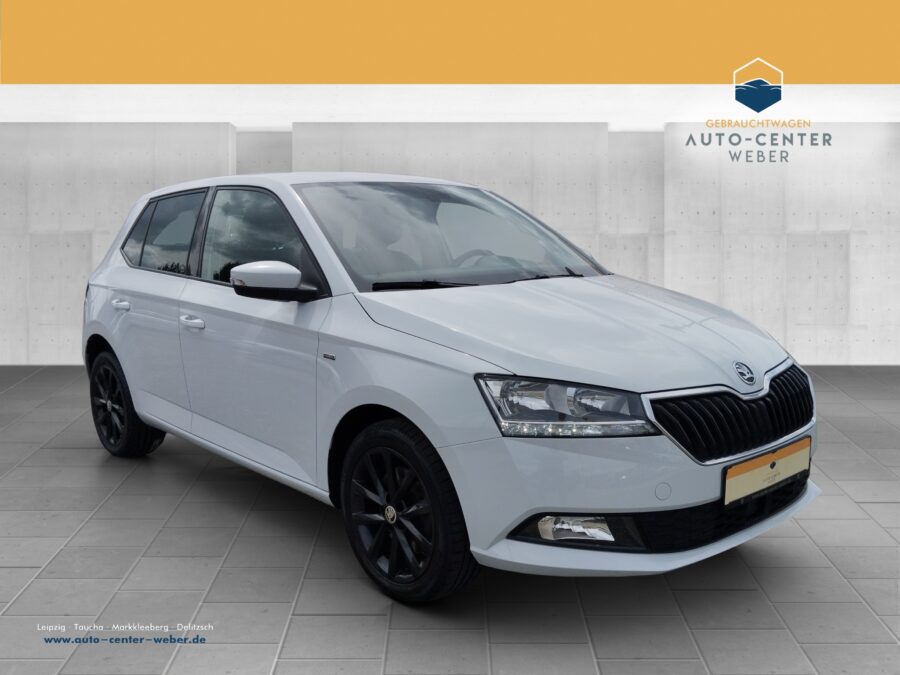 Skoda Fabia 1.0 TSI Drive incl. Servicepaket*