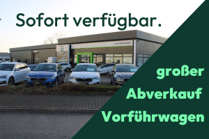 Teaser Skoda VFW Abverkauf