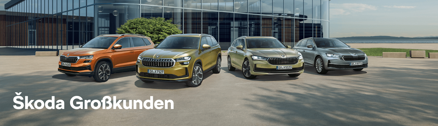 Skoda Fuhrparkt vor Haus
