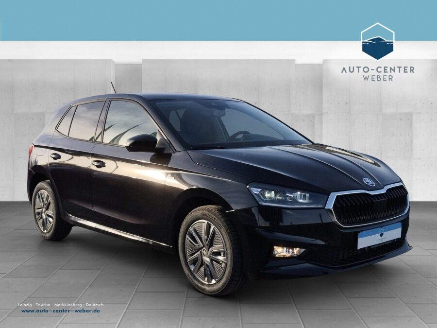 Skoda Fabia 1.0 TSI Tour DynLicht*Fernlichtass.*Kam.