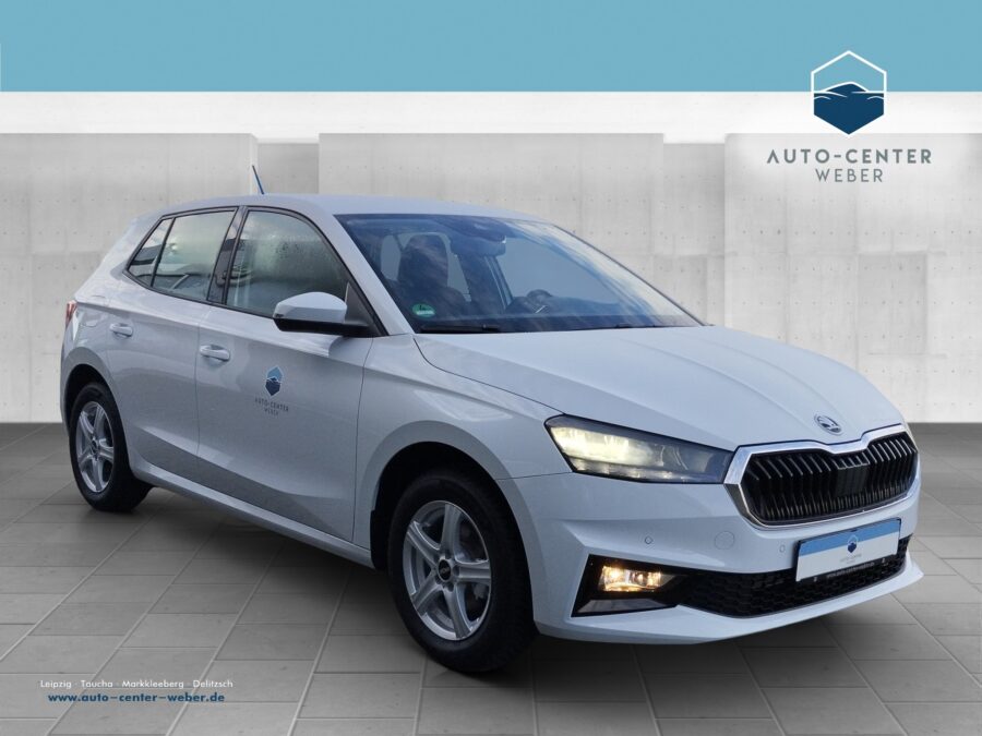 Skoda Fabia 1.0 TSI Selection KlimaA*LED*LM*Navi*PDC