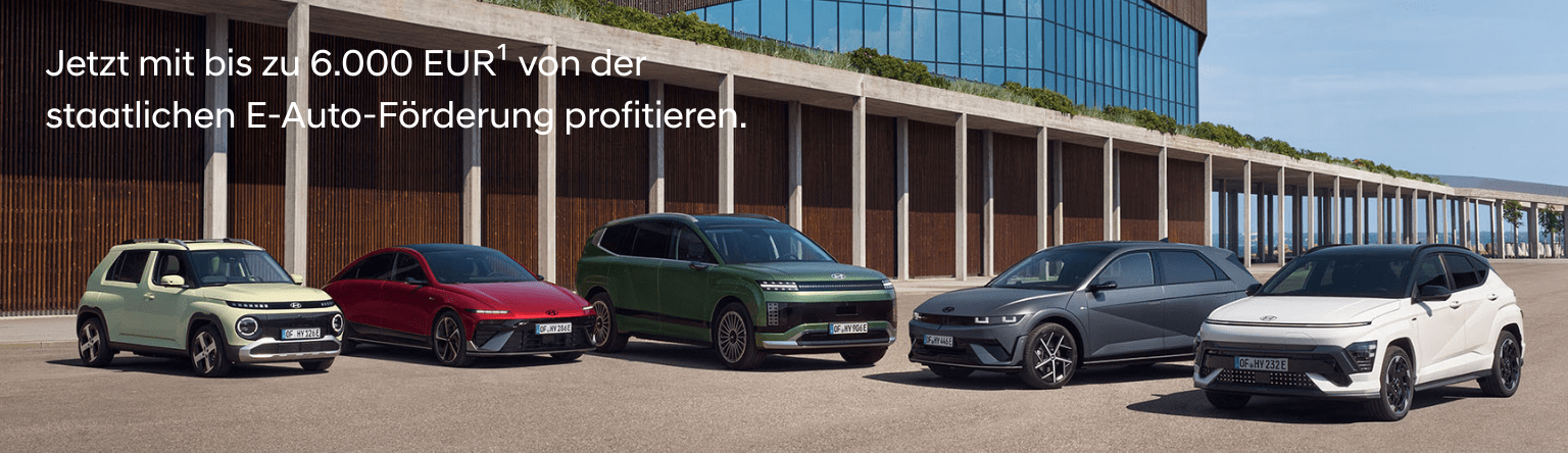 HY-E-Förderung Header