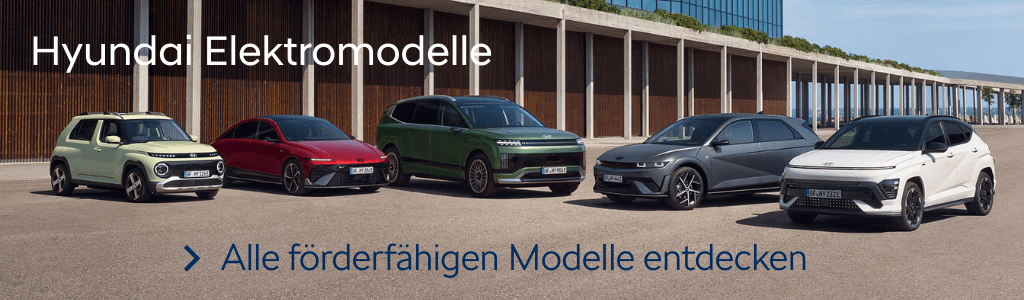 Hyundai E-Autos Störer