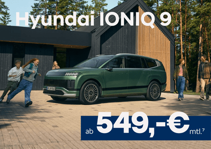 IONIQ 9 E-Förderung_neu