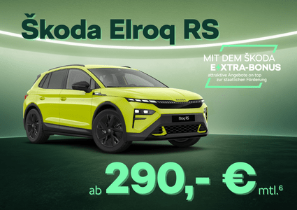 Sk Extra Elroq RS.neu