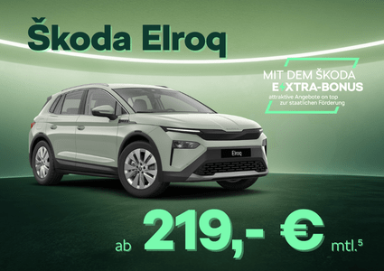 Sk Extra Elroq.neu