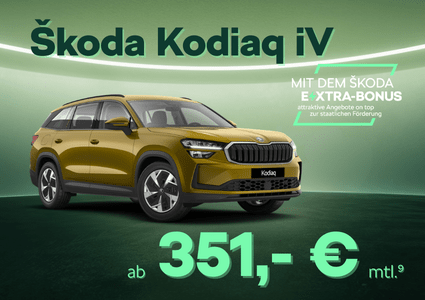 Sk Extra Kodiaq iV