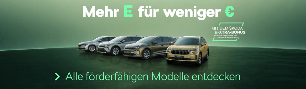 Störer Sk E-Förderung