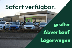 Teaser Skoda VFW Abverkauf