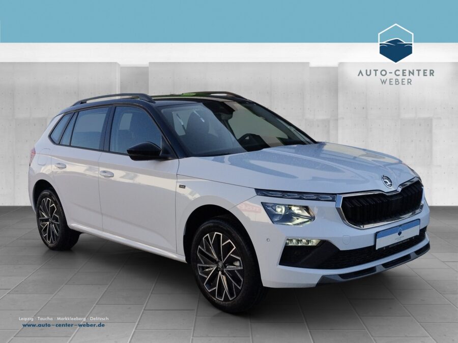 Skoda Kamiq 1.0 TSI Tour ACC*Fernlichtass.*Kam.*KlimaA