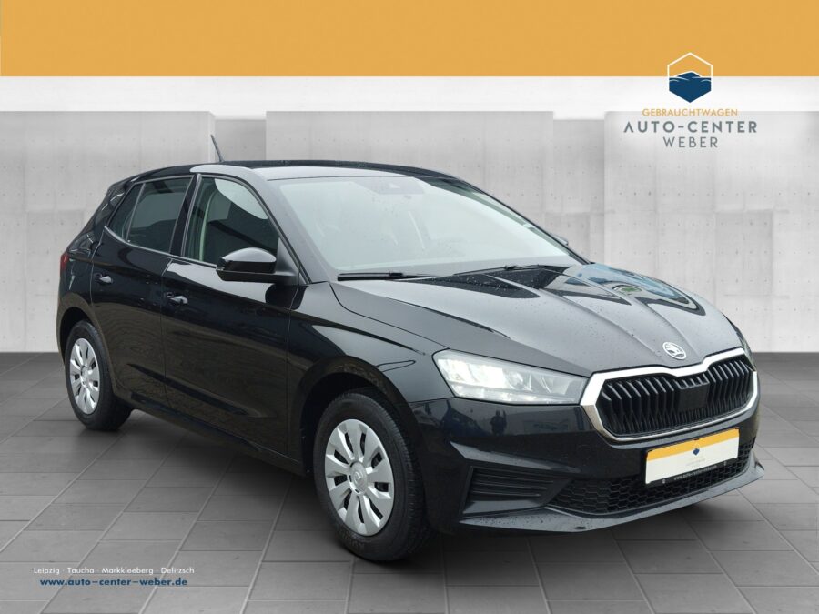 Skoda Fabia 1.0 TSI Active LED*PDC*SHZ*SpurH*Winterp.
