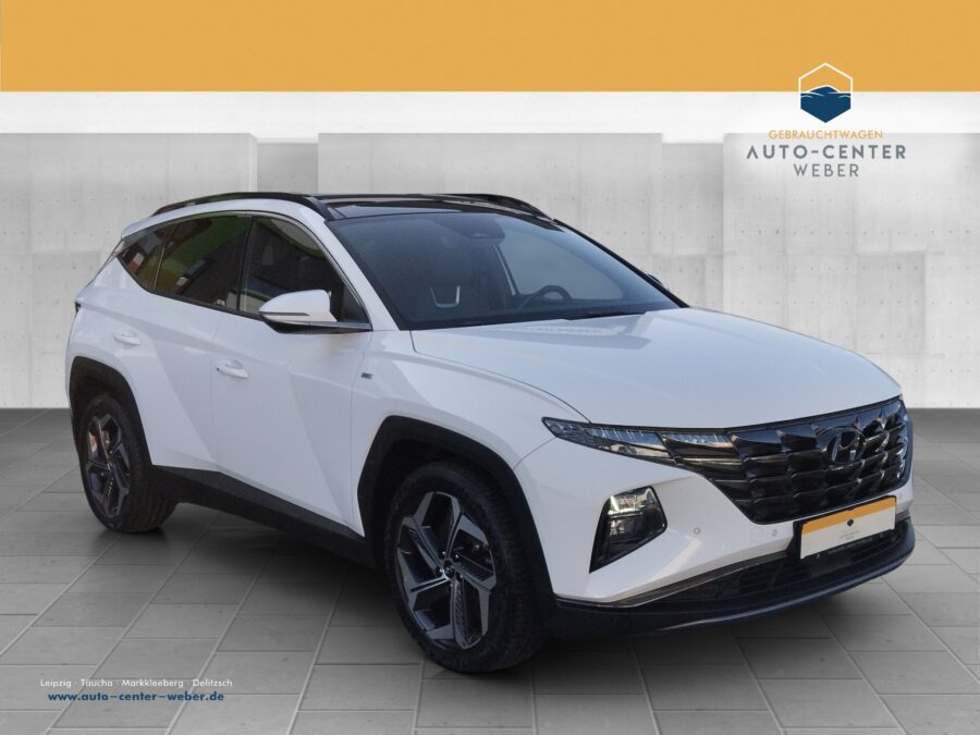 Hyundai TUCSON 1.6 T-GDI 48V-Hybrid Prime DCT 4xSHZ*ACC*AUT*Bel.Sitz*LM