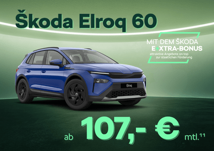 Sk Extra Elroq 60