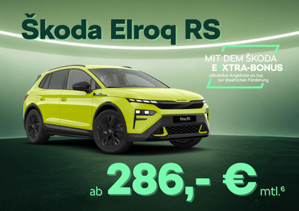 Sk Extra Elroq RS