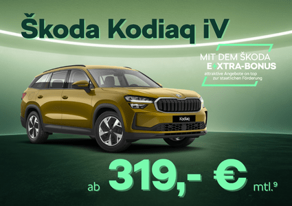 Sk Extra Kodiaq iV