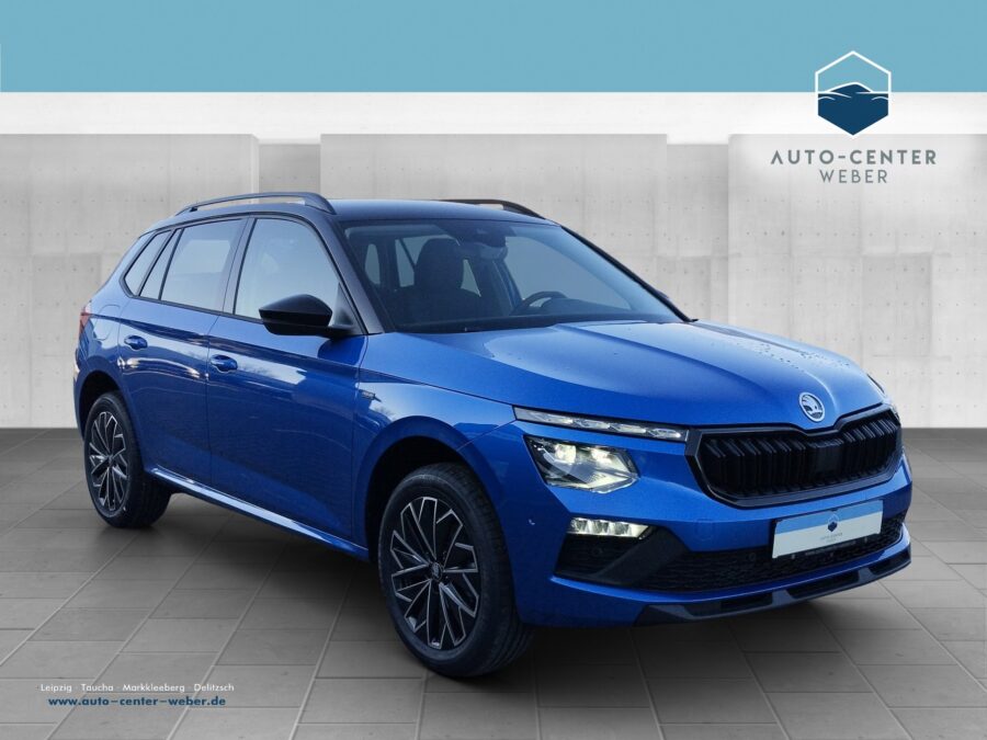 Skoda Kamiq 1.0 TSI Tour ACC*Fernlichtass.*Kam.*KlimaA