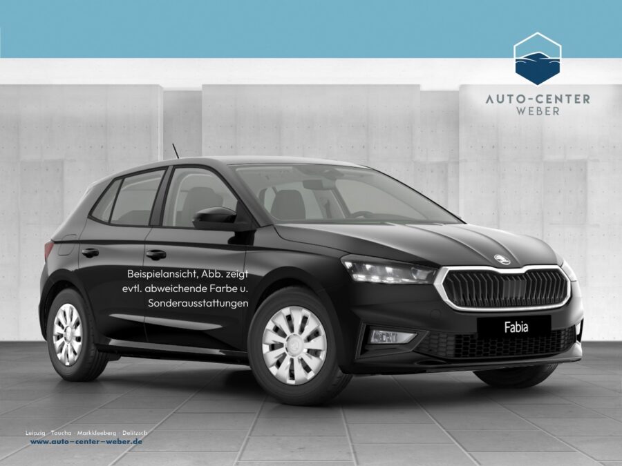 Skoda Fabia 1.0 TSI Tour Fernlichtass.*Kam.*KeyLess*LM