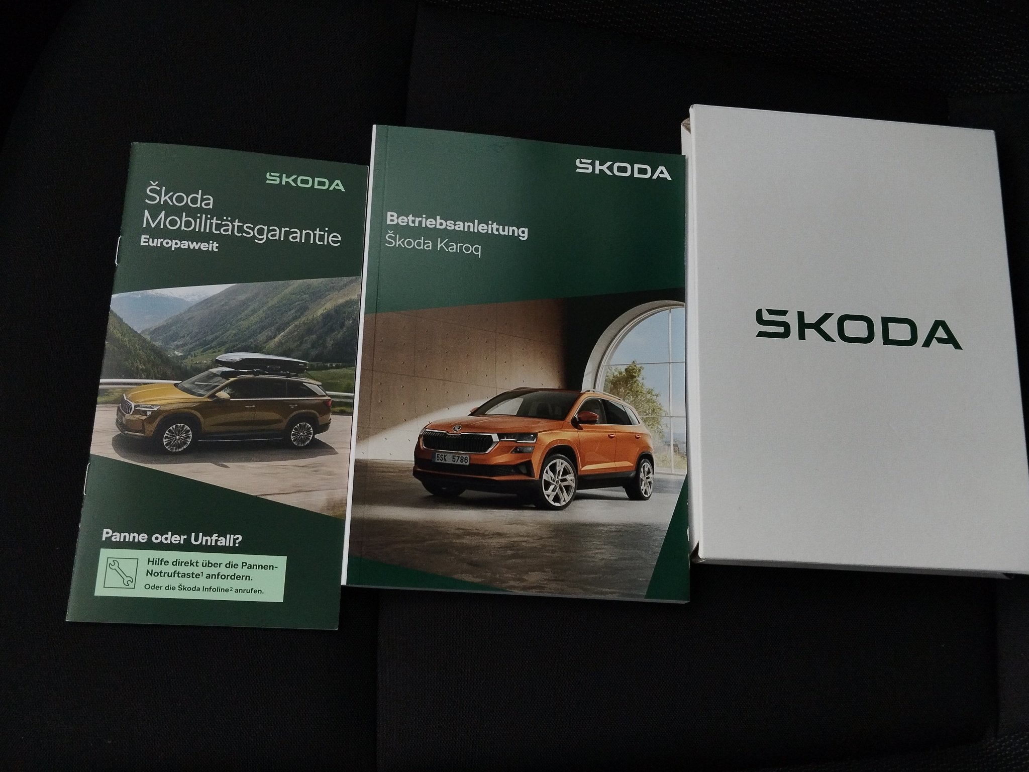 Skoda Karoq 1.5 TSI Balance DSG ACC*AHK*AUT*Kam.*Klima – Bild 30