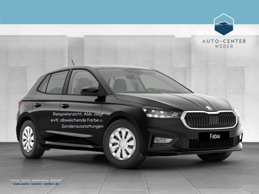 Skoda Fabia 1.0 TSI Balance DSG AUT*Fernlichtass.*Kam.