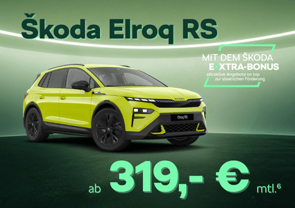 Sk Extra Elroq RS