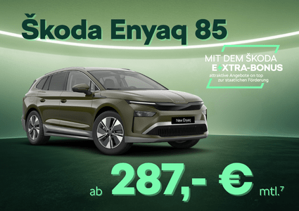 Sk Extra Enyaq 85