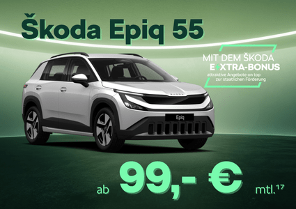 Sk Extra Epiq 55