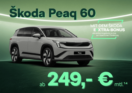 Sk Extra Peaq 60