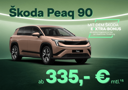 Sk Extra Peaq 90