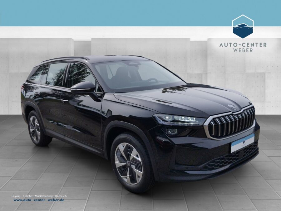 Skoda Kodiaq 2.0 TDI Selection DSG *360°*ACC*AHK*AUT*LM