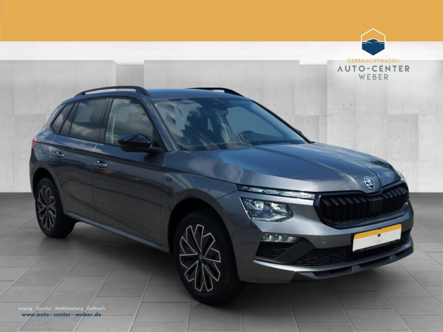Skoda Kamiq 1.0 TSI Tour DSG ACC*AUT*Facelift*LED*LM