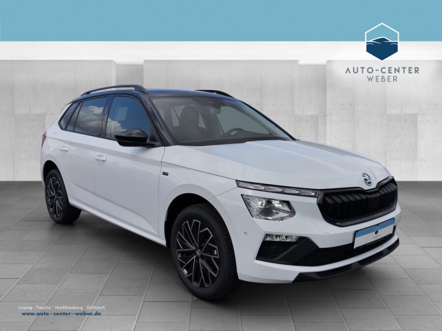 Skoda Kamiq 1.0 TSI Tour DSG 2xKlima*ACC*AUT*Kam.*LED