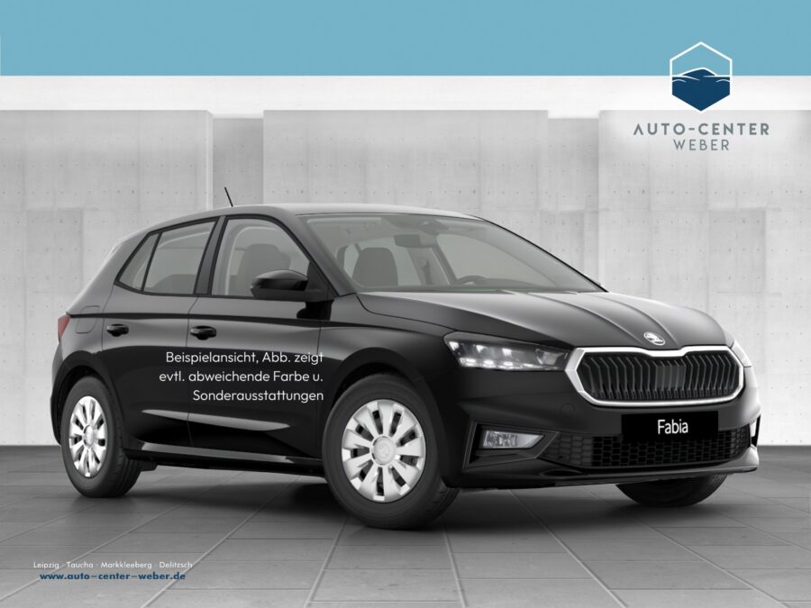 Skoda Fabia 1.0 TSI Balance Fernlichtass.*Kam.*KeyLess