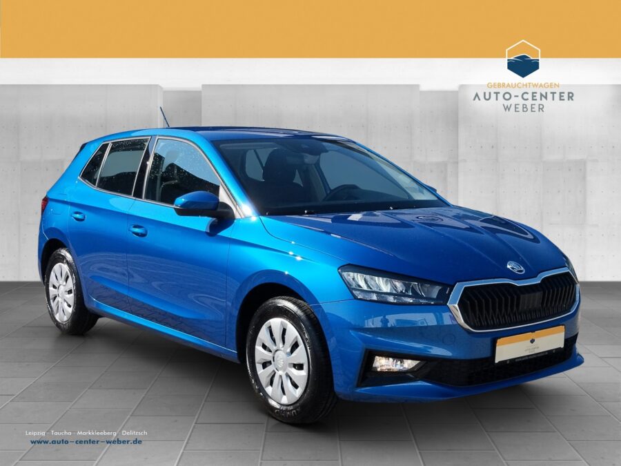 Skoda Fabia 1.0 TSI Selection KeyLess*Klima*KlimaA*LED