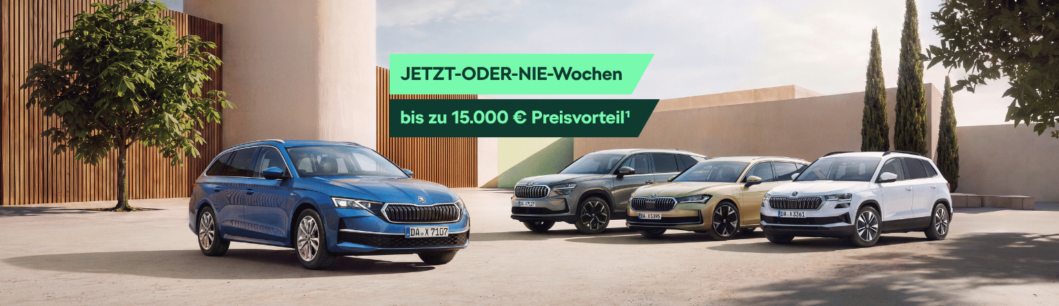 Header Skoda Jetzt oder nie