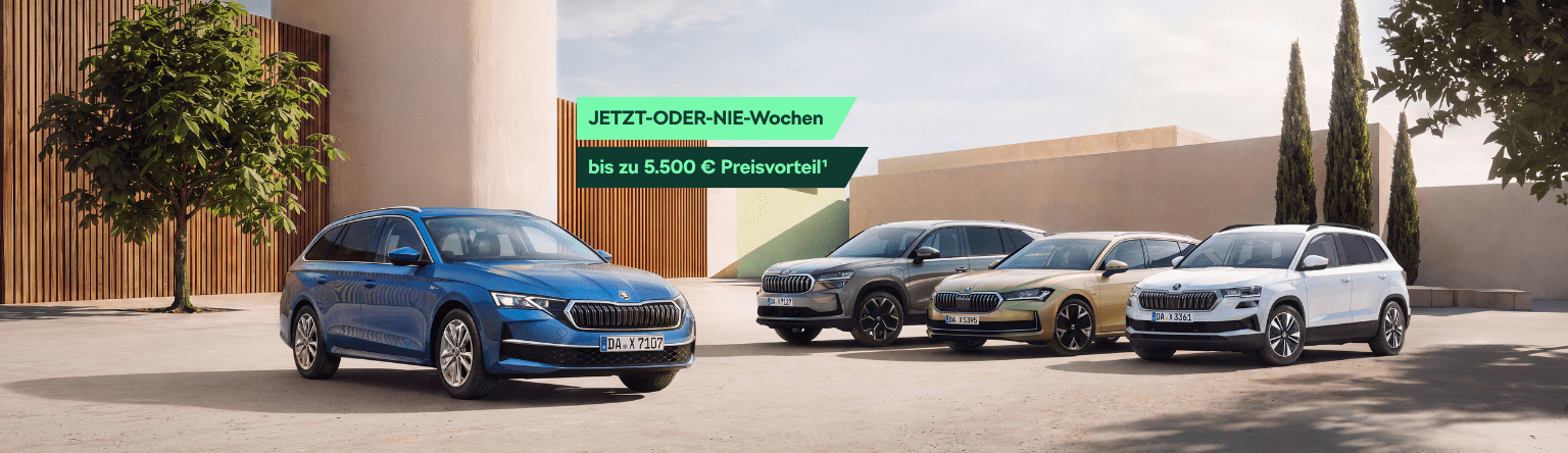 Header Skoda Jetzt oder nie