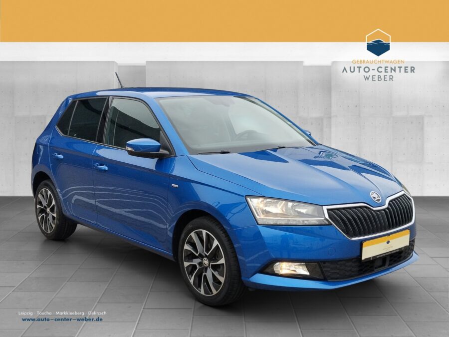 Skoda Fabia 1.0 TSI Drive ACC*DynLicht*Facelift*LM