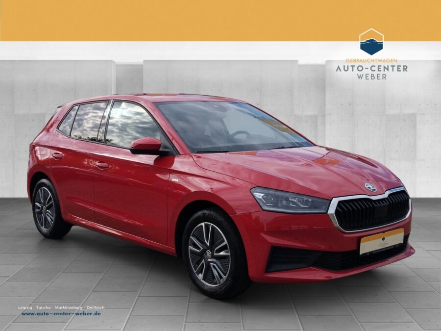 Skoda Fabia 1.0 TSI Tour DSG AUT*DynLicht*Klima*KlimaA*LED