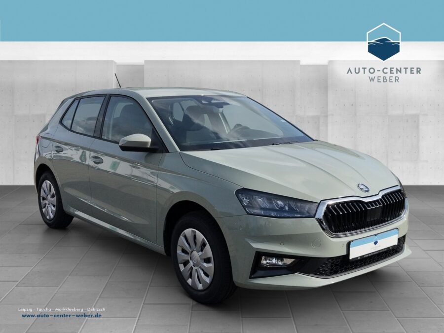 Skoda Fabia 1.0 TSI Selection KeyLess*Klima*KlimaA*LED
